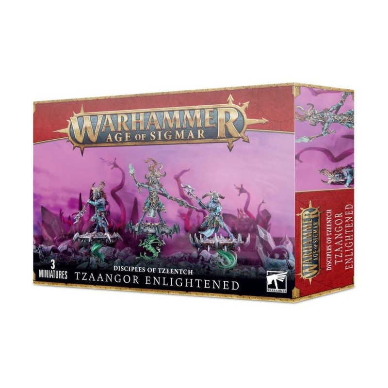 TZAANGORS ÉCLAIRÉS