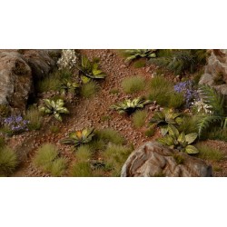 Laser Plants - Dumb Cane