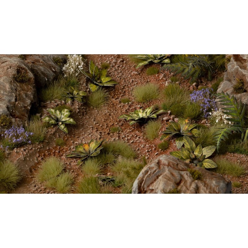 Laser Plants - Dumb Cane