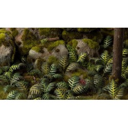 Laser Plants - Bracken