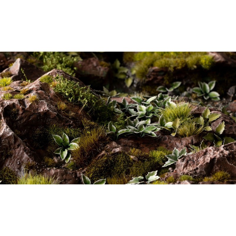 Laser Plants - Plantain Lily