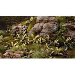 Laser Plants - Deer Fern