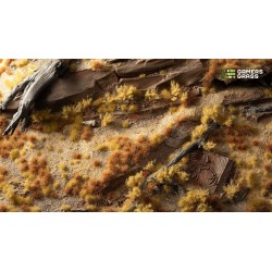 Grass Tuft Starter Box - Dry