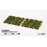 Strong Green 6mm - Wild