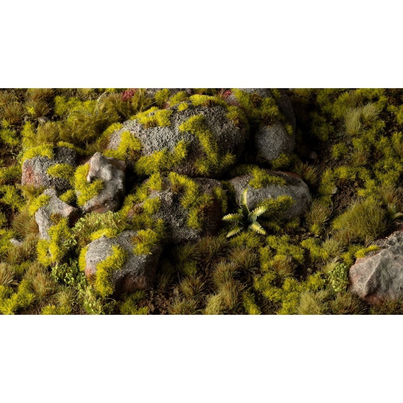 Moss 2mm