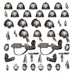 RAVEN GUARD:AMÉLIORATIONS ET DÉCALCOMAN.