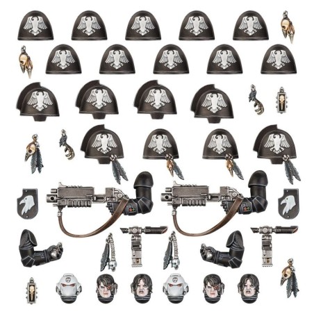 RAVEN GUARD:AMÉLIORATIONS ET DÉCALCOMAN.