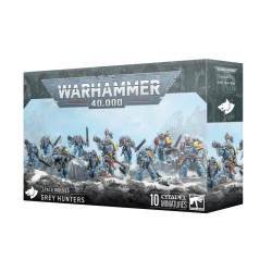 SPACE WOLVES: CHASSEURS GRIS